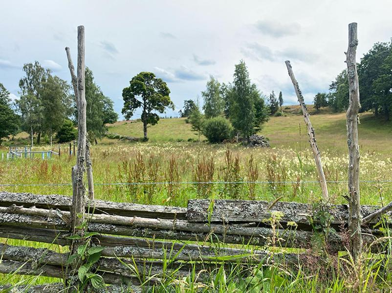 Vimmerby Stugby Exterior foto